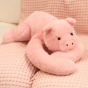 S65caf2cfc89b4430a4f77ddba364ff4fn.png